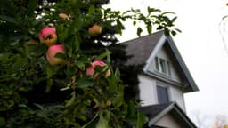 Addiction Treatment Services - Dakoske Hall - Thumbnail 4