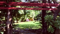 ‘Ai Pono Hawaii - Thumbnail 3