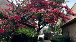 Anxiety Treatment Center of Austin - Thumbnail 1