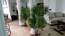 Baja Ibogaine Center - Thumbnail 3