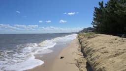 Banyan Delaware - Thumbnail 3