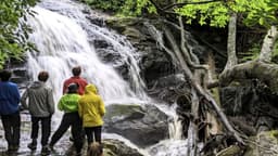 Blue Ridge Therapeutic Wilderness - Thumbnail 2