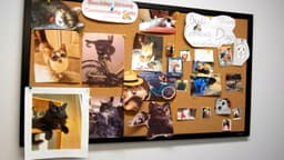 Clinica Family Health & Wellness -  Boulder Strong Community Center - Thumbnail 3