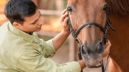 Eagle Creek Ranch Recovery for Men - Thumbnail 5