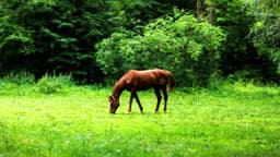 Eagle Overlook Adolescent Recovery - Thumbnail 2