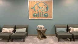 Ellie Mental Health Columbia - Thumbnail 2