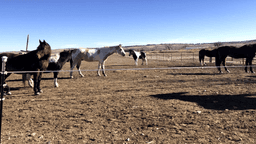 Flatirons Recovery - Thumbnail 3