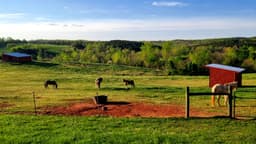 Red Oak Recovery - Ellenboro - Thumbnail 4