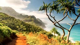 Hawaii Depression Clinic - Thumbnail 2
