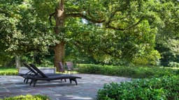 Herren Wellness Lincoln Street - Thumbnail 3