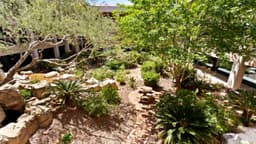 Horizon Recovery - Scottsdale - Thumbnail 1