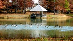 Magnolia Creek - Thumbnail 3