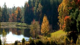 Pavillon - Thumbnail 4