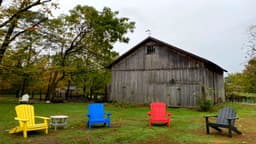 Recovery at WildWood Farm - Thumbnail 2