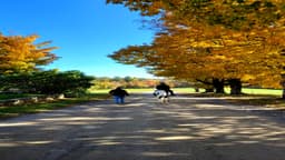 Ridge RTC for Teens - New Hampshire - Thumbnail 3