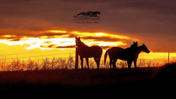 Rocky Mountain Treatment Center - Thumbnail 5