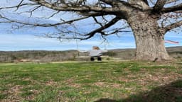 Skyterra Wellness Retreat - Thumbnail 2