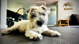 Spero Men's Recovery Center - Thumbnail 5