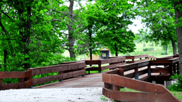 The Aviary Recovery Center - Thumbnail 3