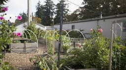 Trillium Family Corvallis - Thumbnail 4
