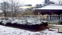 Vantage Point of Northwest Arkansas - Thumbnail 3