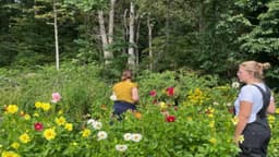 Angelus House at Wellspring - Thumbnail 3