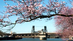 Windhorse Integrative Mental Health - Portland - Thumbnail 4