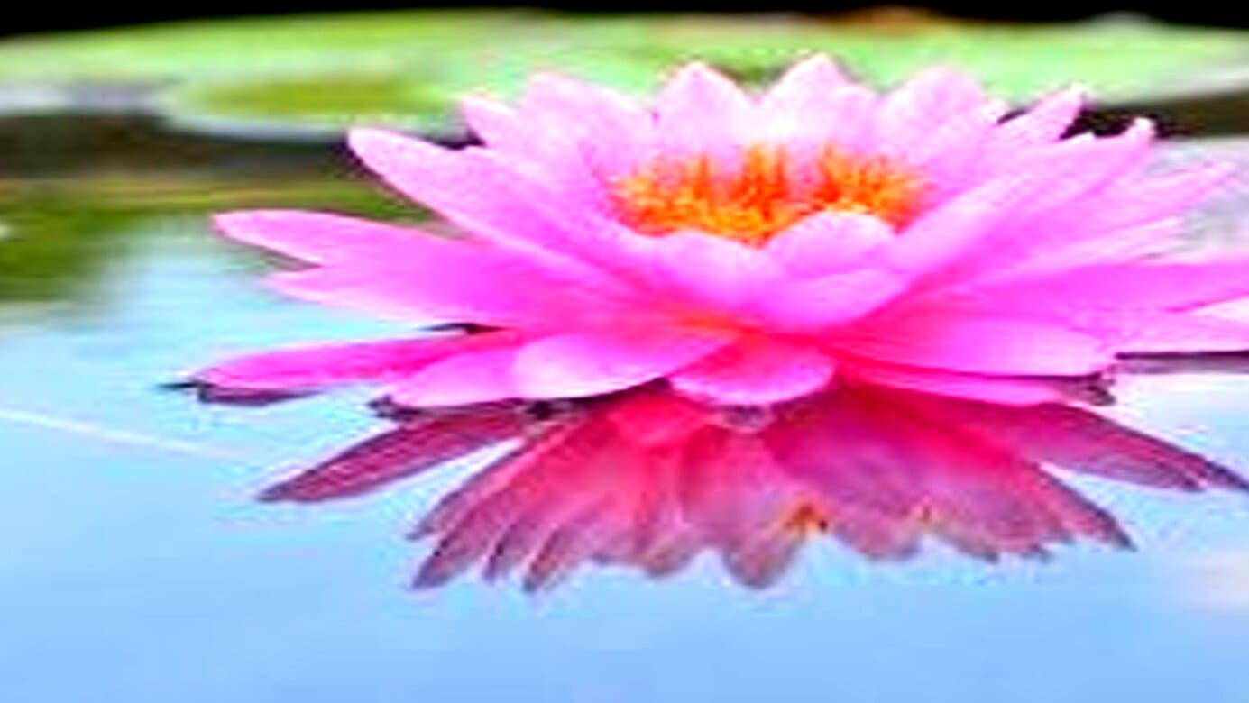 A Time to Rise Counseling and Wellness - Image 1