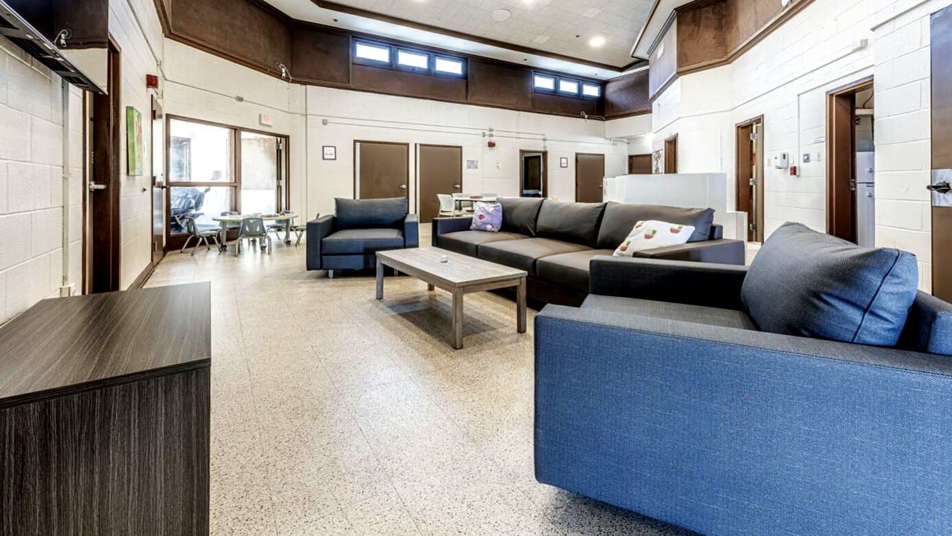 The Ness Center - Image 1