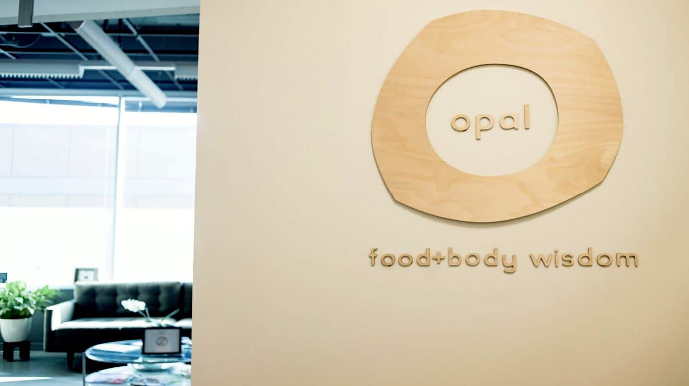 Opal: Food and Body Wisdom - Image 1