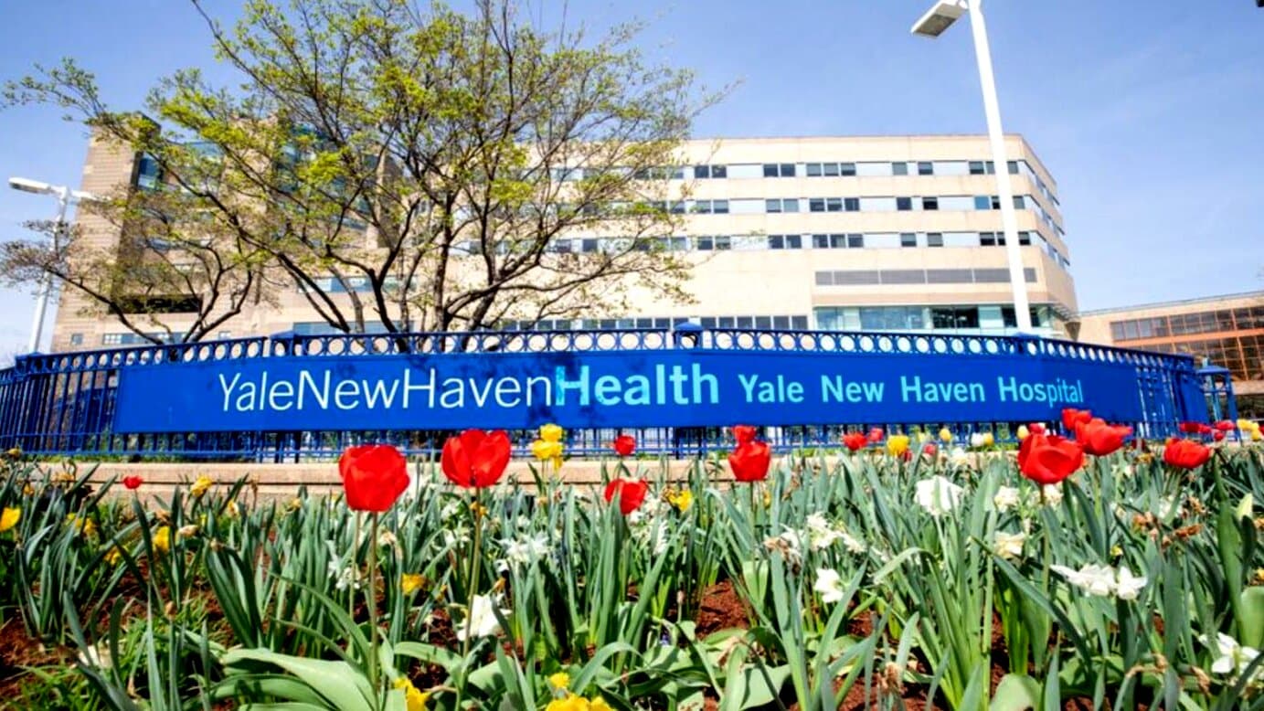 Yale New Haven Health York Street Campus - Image 1